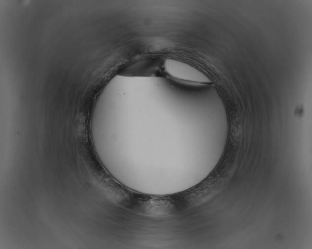 X0000091060270200708271202