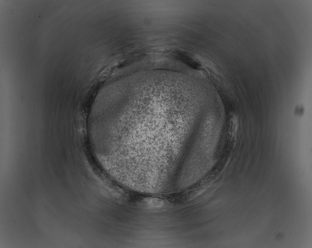 X0000091060272200708271202