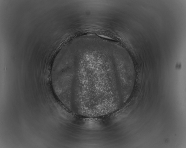 X0000091060273200708271202