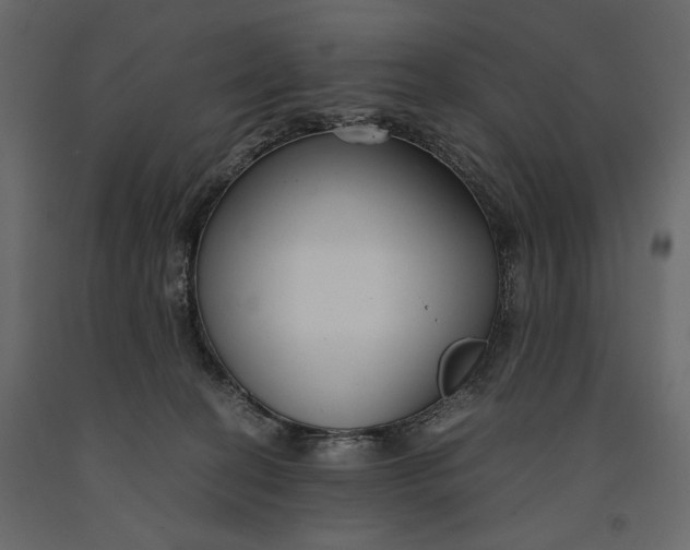 X0000091060274200708271202