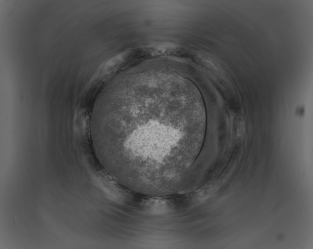 X0000091060276200708271202
