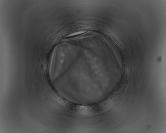 X0000091060277200708271202