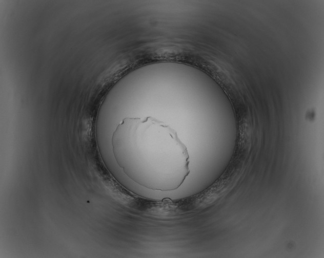 X0000091060278200708271202
