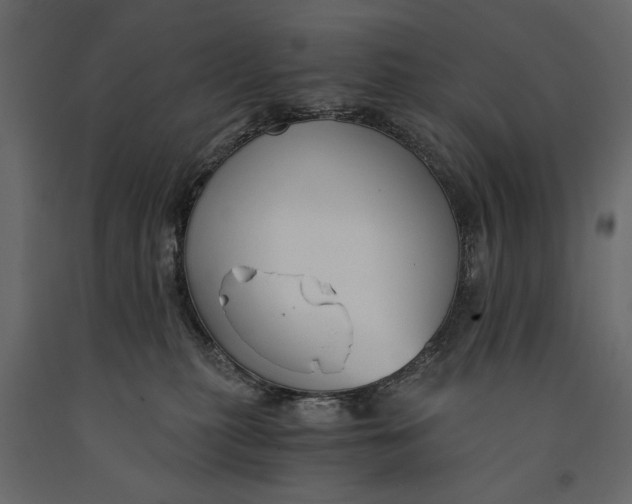 X0000091060279200708271202