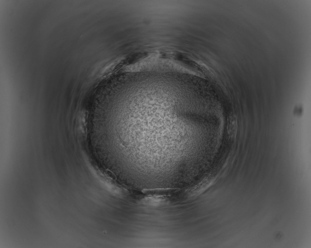 X0000091060280200708271202