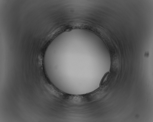 X0000091060282200708271202