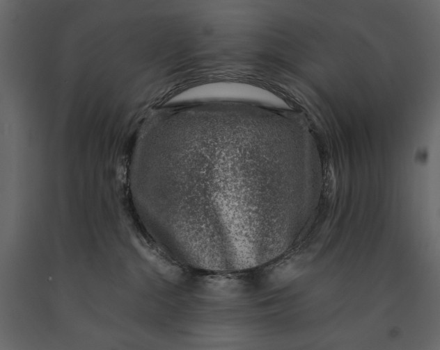 X0000091060284200708271202