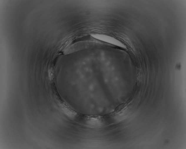 X0000091060285200708271202