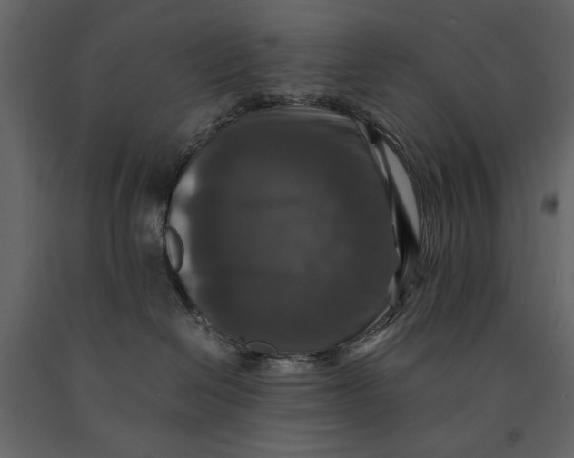 X0000091060286200708271202