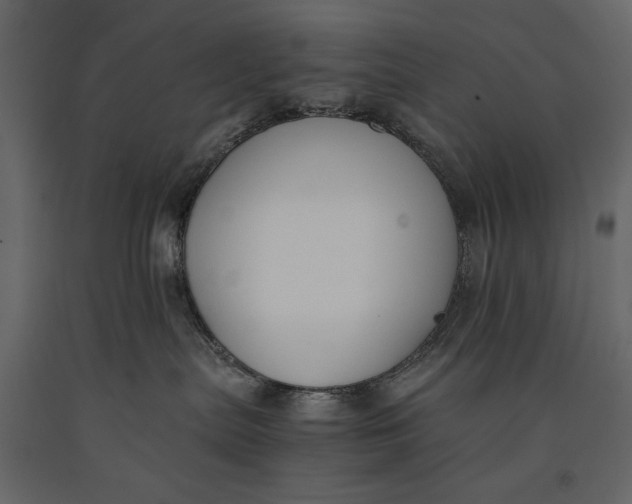 X0000091060287200708271202