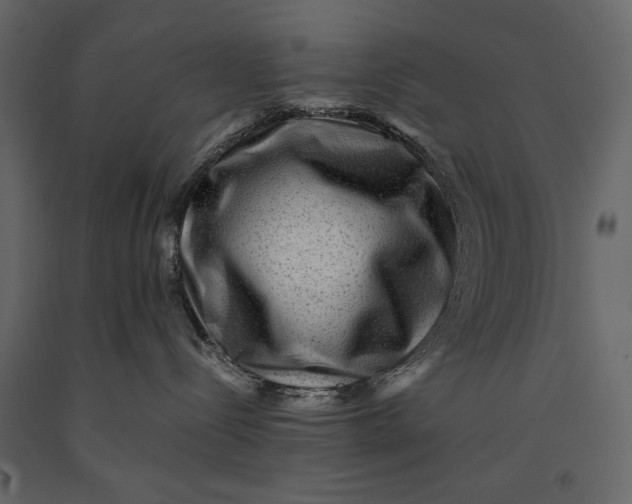 X0000091060288200708271202