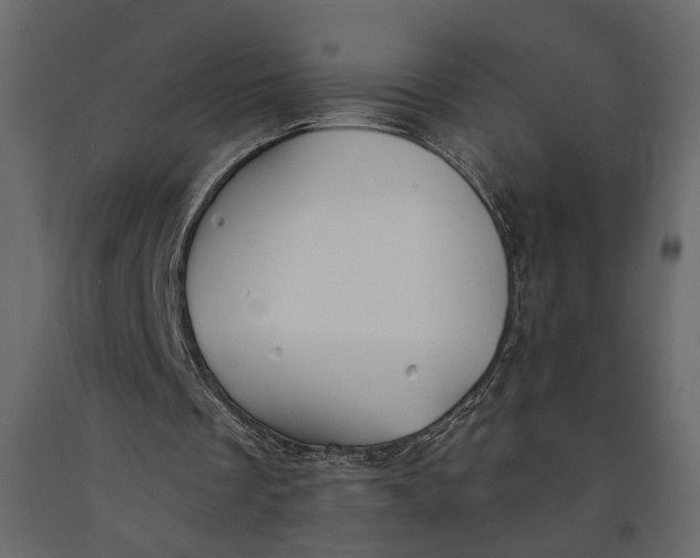 X0000091060289200708271201