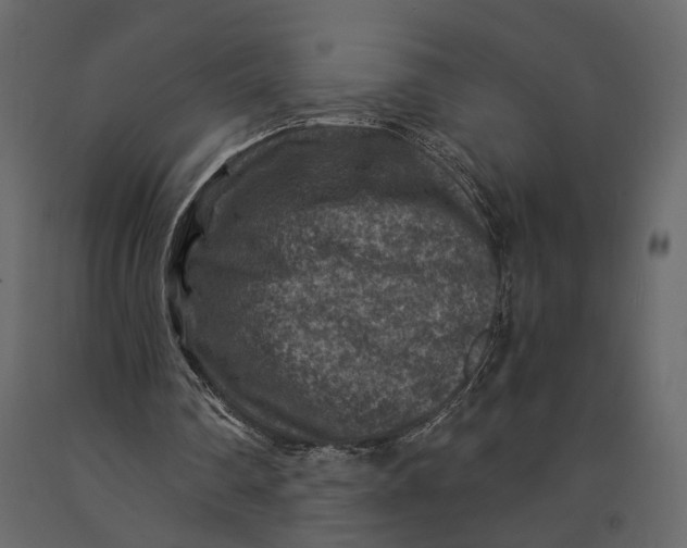 X0000091060290200708271201