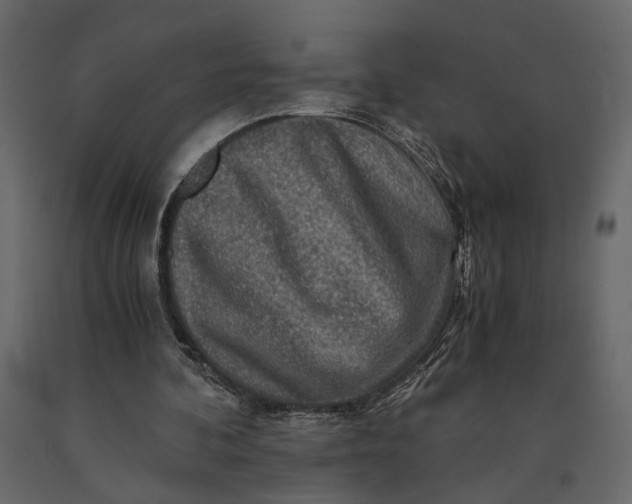 X0000091060292200708271201
