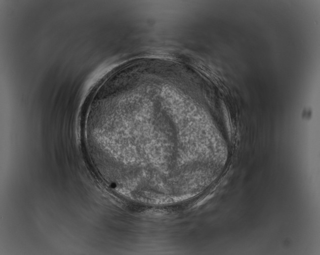 X0000091060294200708271201