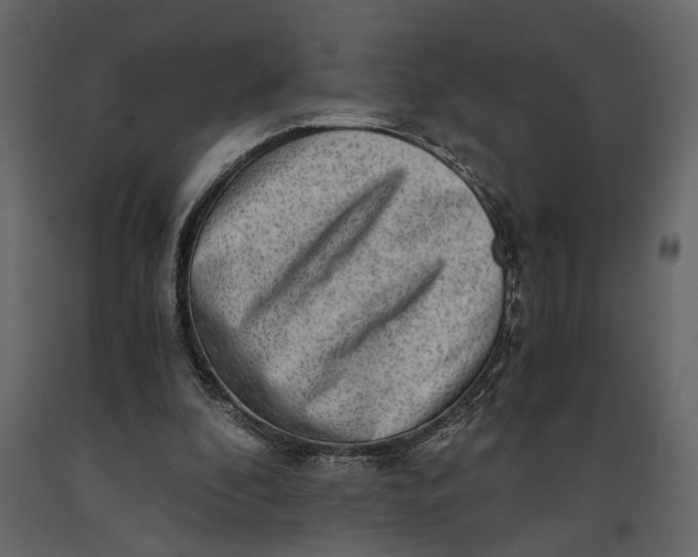 X0000091060296200708271201