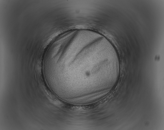 X0000091060297200708271201
