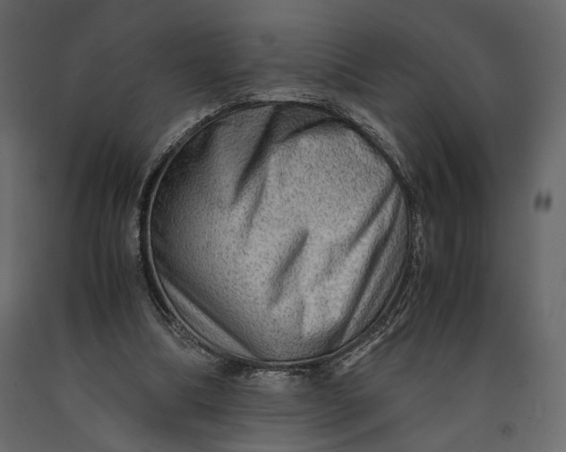X0000091060298200708271201