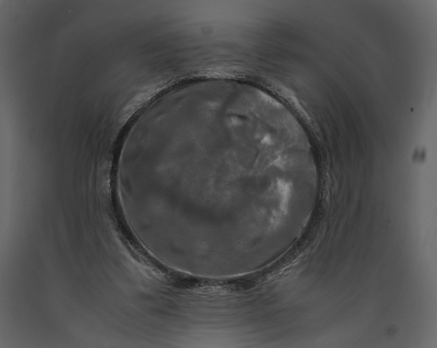 X0000091060299200708271201