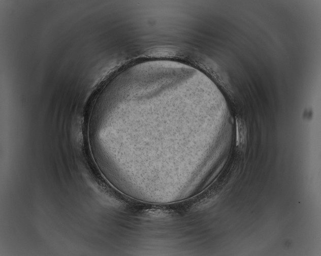 X0000091060300200708271201