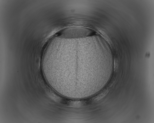 X0000091060301200708271201