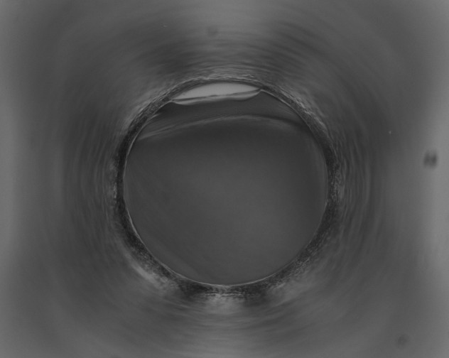 X0000091060303200708271201