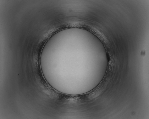 X0000091060306200708271201