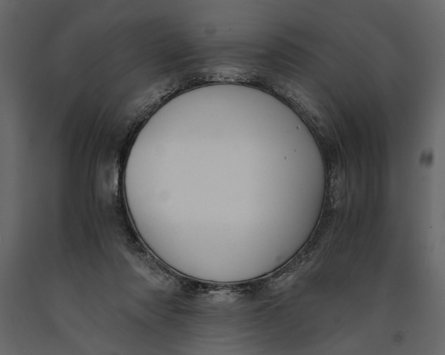 X0000091060310200708271201