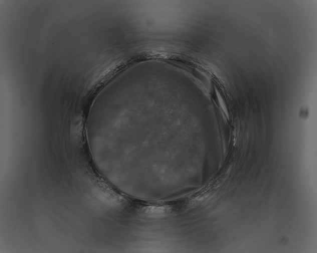 X0000091060314200708271201
