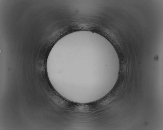 X0000091060317200708271201