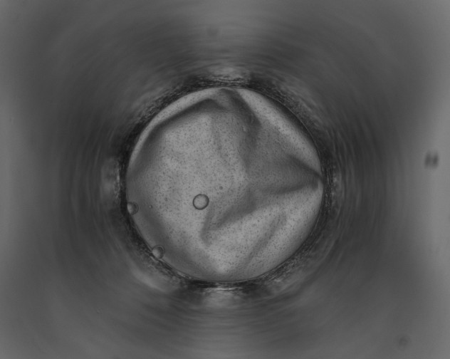 X0000091060320200708271201