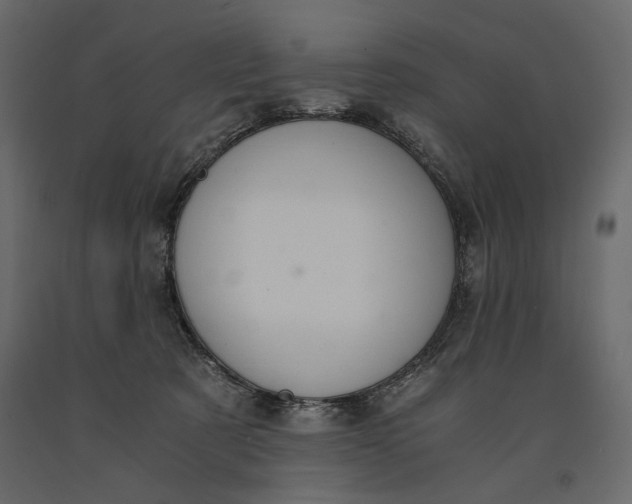 X0000091060321200708271201
