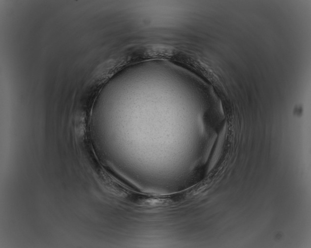 X0000091060323200708271201