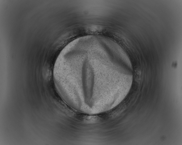X0000091060324200708271201