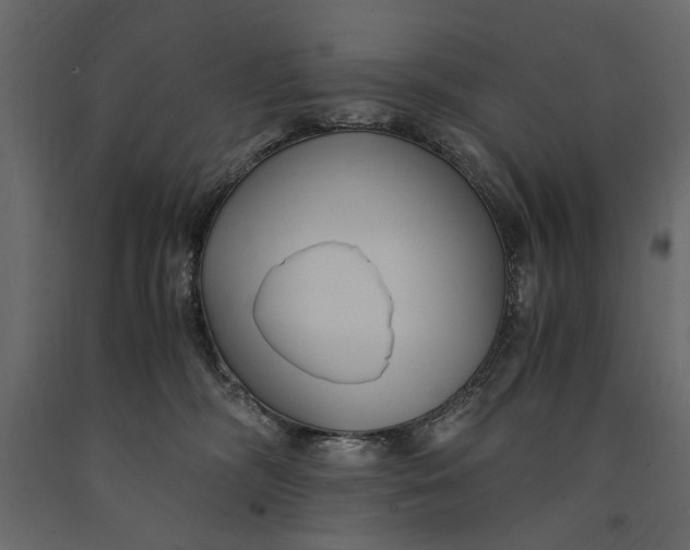 X0000091060326200708271201