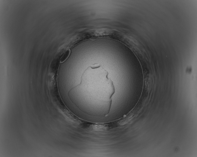 X0000091060327200708271201