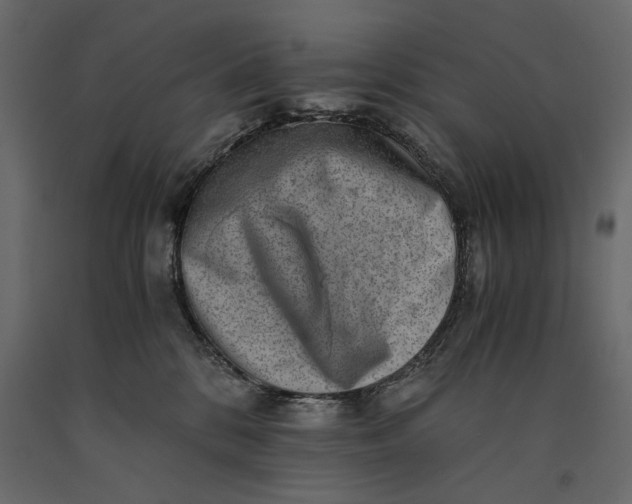 X0000091060328200708271201