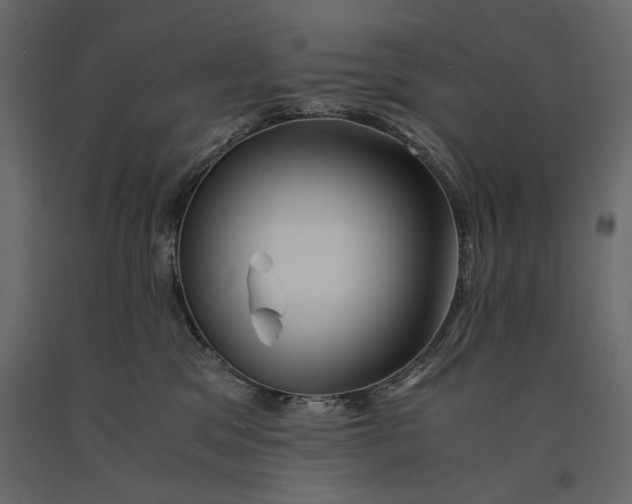 X0000091060329200708271201