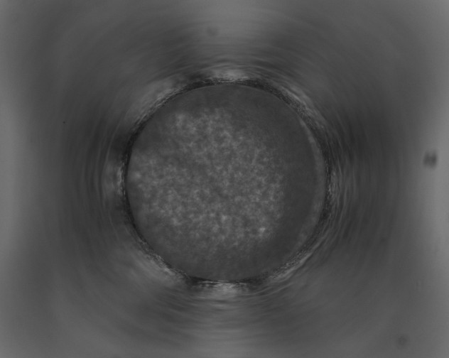 X0000091060330200708271201