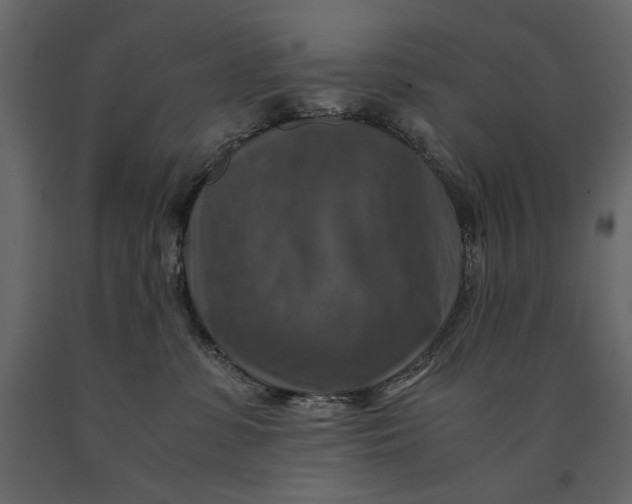 X0000091060331200708271201