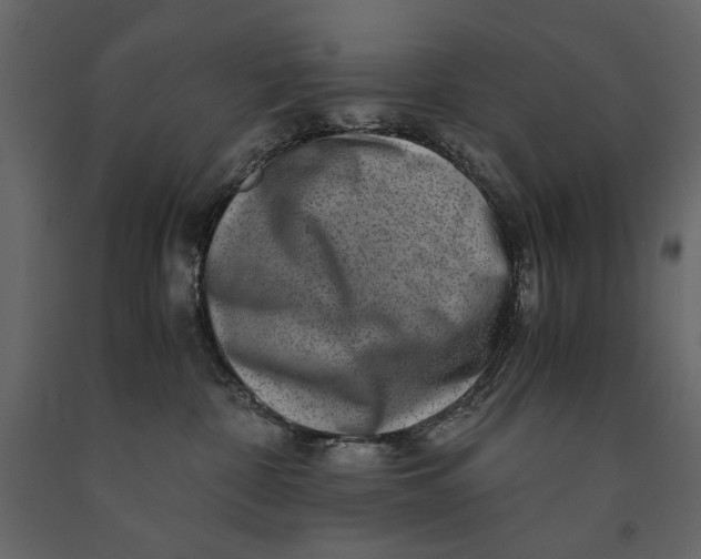 X0000091060332200708271201
