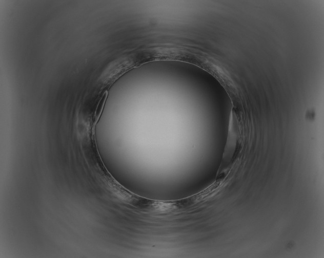 X0000091060333200708271201