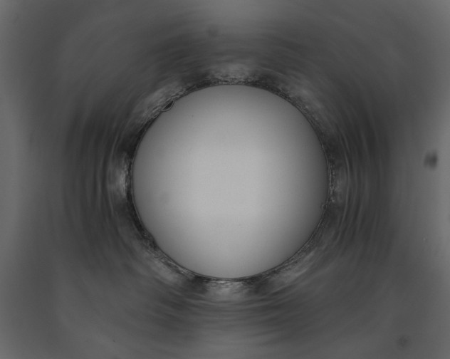 X0000091060334200708271201