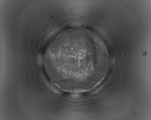 X0000091060335200708271201