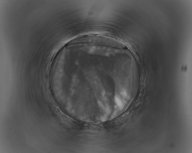 X0000091060337200708271200