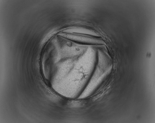 X0000091060341200708271200