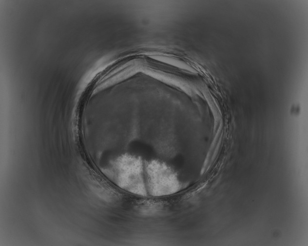X0000091060343200708271200