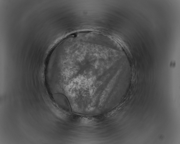 X0000091060346200708271200