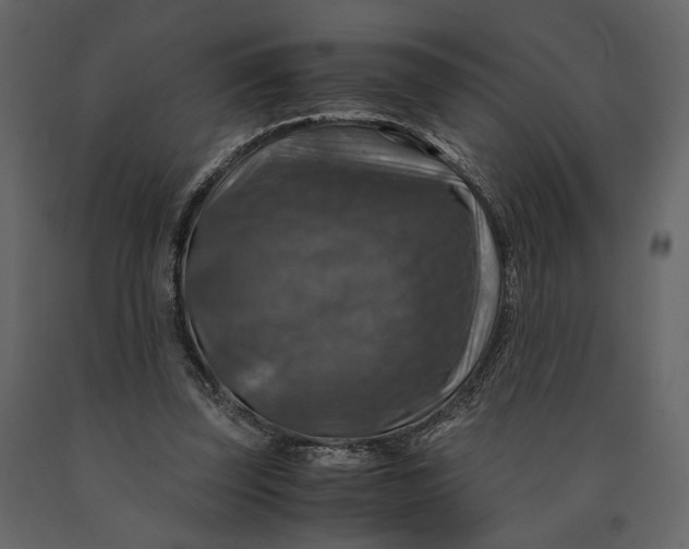 X0000091060347200708271200