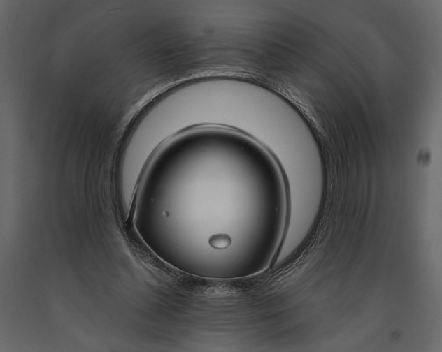 X0000091060348200708271200